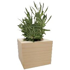 3.5" Wooden Cube w/Wild Rose Seeds