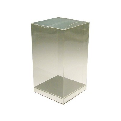 Clear Rectangle Box w/Silver Bottom