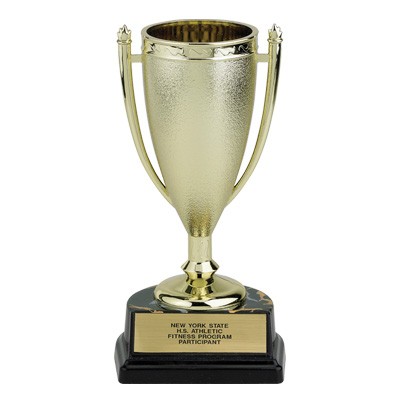 6 ½" Plastic Trophy Cup on Black Base