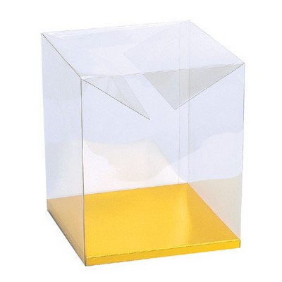 Clear Box w/Gold Bottom (7" x 7" x 9")