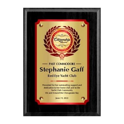 7" x 9" Black plaque with double plates and cone heads