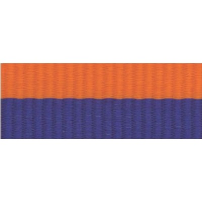 7/8" Blue/Orange Neck Ribbon with Snap Clip