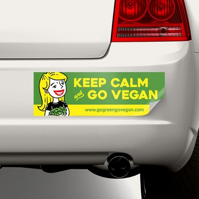 Bumper Sticker (3"x11.5")