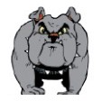 Bulldog Stock Temporary Tattoo