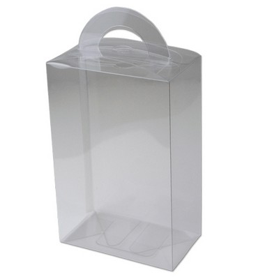 Tall Transparent Plastic Box w/Circle Handle