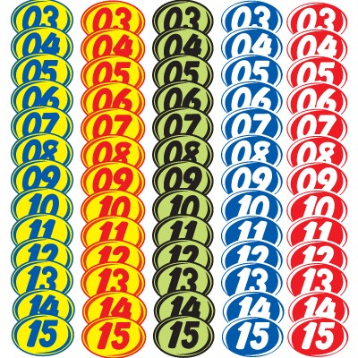 White & Red Bold Year Model Decals (Set of 12)