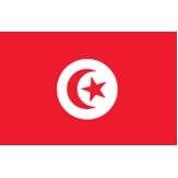 2'x3' Tunisia U.N. Nylon Outdoor Flag - Style B