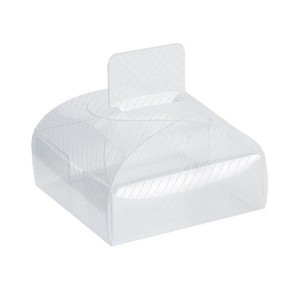 Small Clear Plastic Box w/Tab Clasp