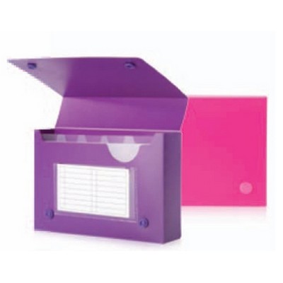 Assorted Neon Index Card Case (5 ¼" x 3 ½" x 1 ½")