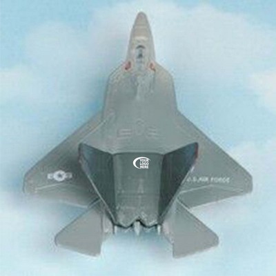 Hot Wings F-22 Raptor