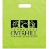 Frosted Tote Bag (9"x12")