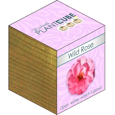 Plant Cube™ - Wild Rose