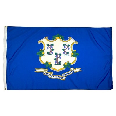 Connecticut Indoor Parade Flag w/Pole Hem And Fringe (5'x8')