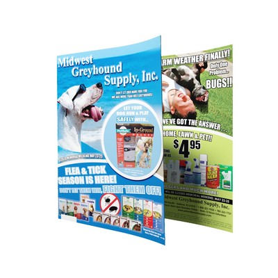 12" x 15" - Full Color Catalog Sheets - 16pt cardstock