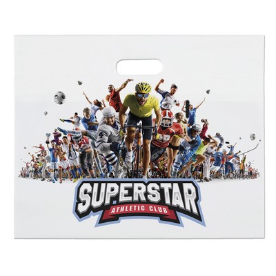 16W x 13H Die Cut Bag - Digital Full Color
