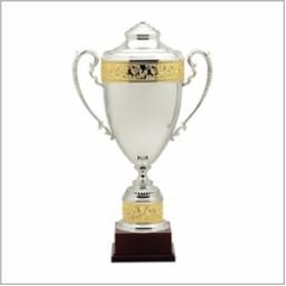 25" Estate Award Winner Trophy