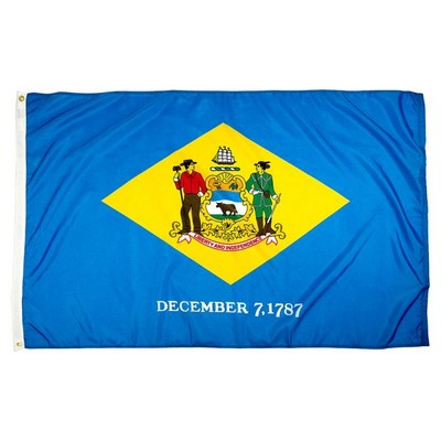 Delaware Indoor Parade Flag w/Pole Hem And Fringe (5'x8')
