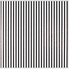 Black Stripe on White Tissue Paper