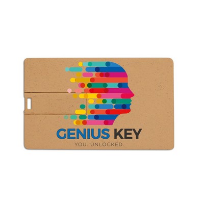 Broadview Eco-Friendly Card USB-128G
