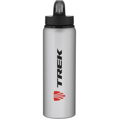 28 oz h2go Allure (Matte Silver)