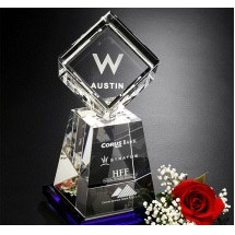 Awards In MotionÂ® Albany 9 1/2"