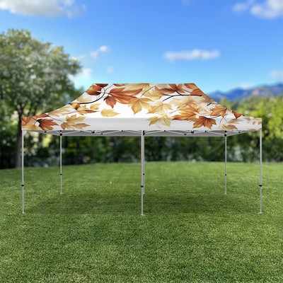 Canopy Tent Tenda 20'x10' Canopy Graphic Only Unit