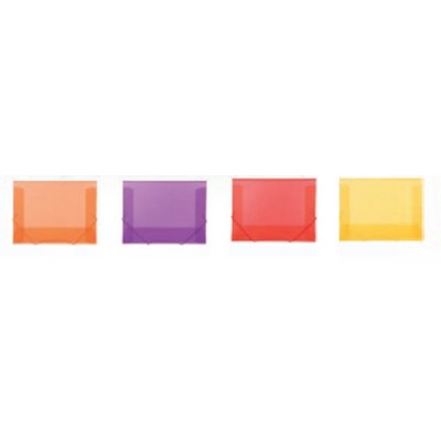 Assorted Translucent Economy Pocket File w/1" Expansion
