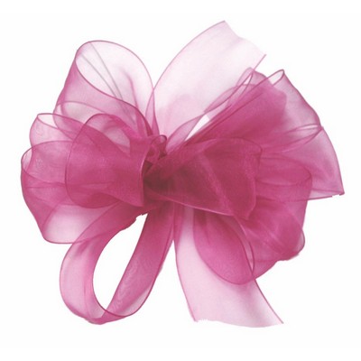 Small Fuchsia Simply Sheer Asiana Ribbon