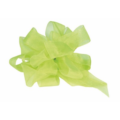 Small Citrus Green Simply Sheer Asiana Ribbon