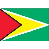 2'x3' Guyana U.N. Nylon Outdoor Flag - Style B