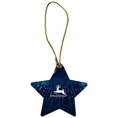 Acrylic Star Ornament