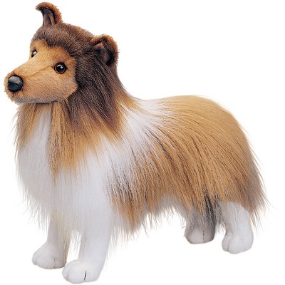 Dixie Sheltie
