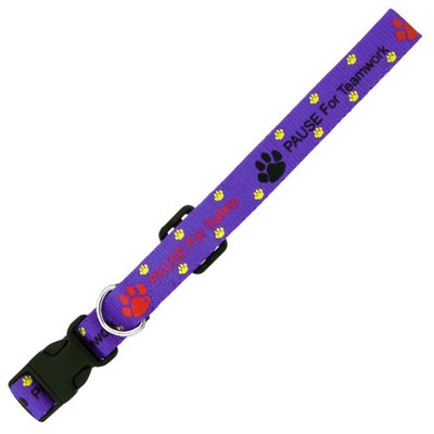3/8" Dog Collar (Factory Direct) 10-12 Weeks Ocean