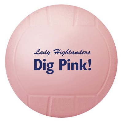 Vinyl Volleyball