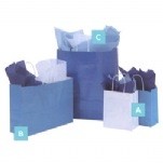Metallic/High Gloss Colored Bag (16" x6" x12")
