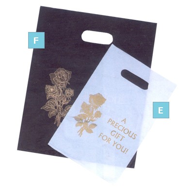 Large Gift Bag (12" x15")