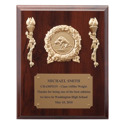 Plaque w/Gold Brass Plate Takes Insert (8"x 10")