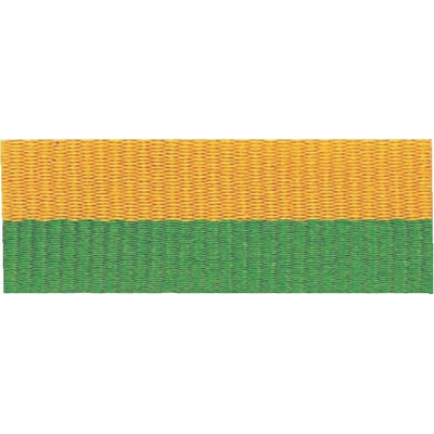 7/8" Green/Gold Neck Ribbon with Snap Clip