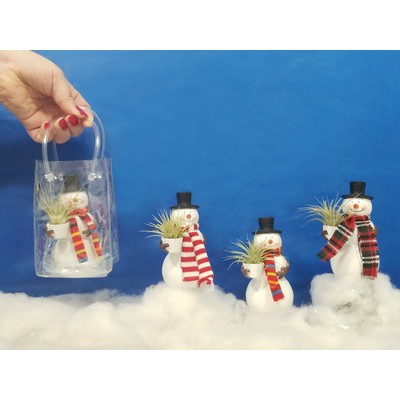Snowman & Cloth Scarf with Air Plant
