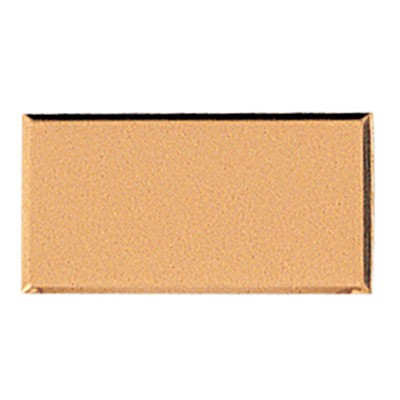 Gold Embossed Aluminum Plate w/Beveled Border (1½" x 3")
