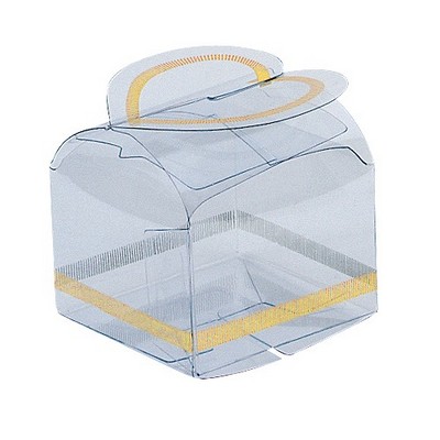 Clear Plastic Tote Box w/Gold Print & Butterfly Clasp