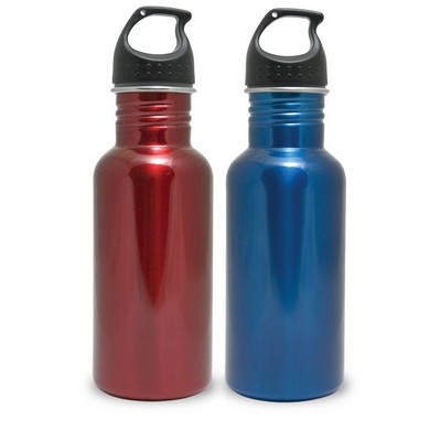 17 Oz. Stainless Steel Bottle