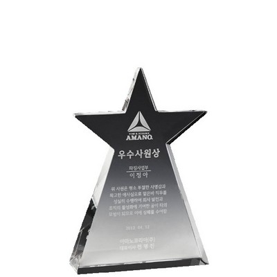 Crystal Sea Star Award 7 3/4"H