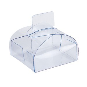 Clear Plastic Box w/Tab Clasp
