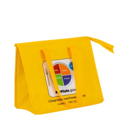 Custom 120g Laminated Non-Woven Insulated Lunch Bag (10.5"x9.25"x6.5")