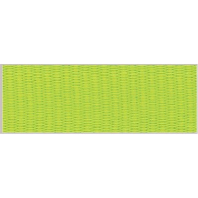 7/8" Neon Green Neck Ribbon with Snap Clip