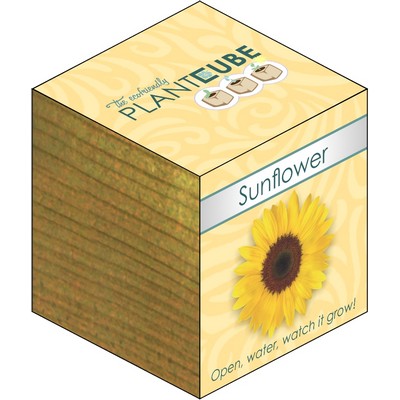 Plant Cube™ - Sunflower