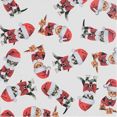 Kitty Christmas Gift Wrap