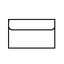 Paper Portvelope w/ 3-5/8" Flap (12" x 10")