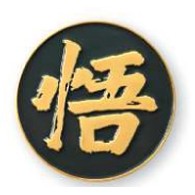 ¾" Die Struck Soft Enamel Lapel Pin